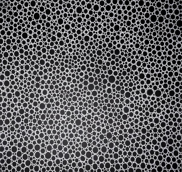 Archillect ID 376037