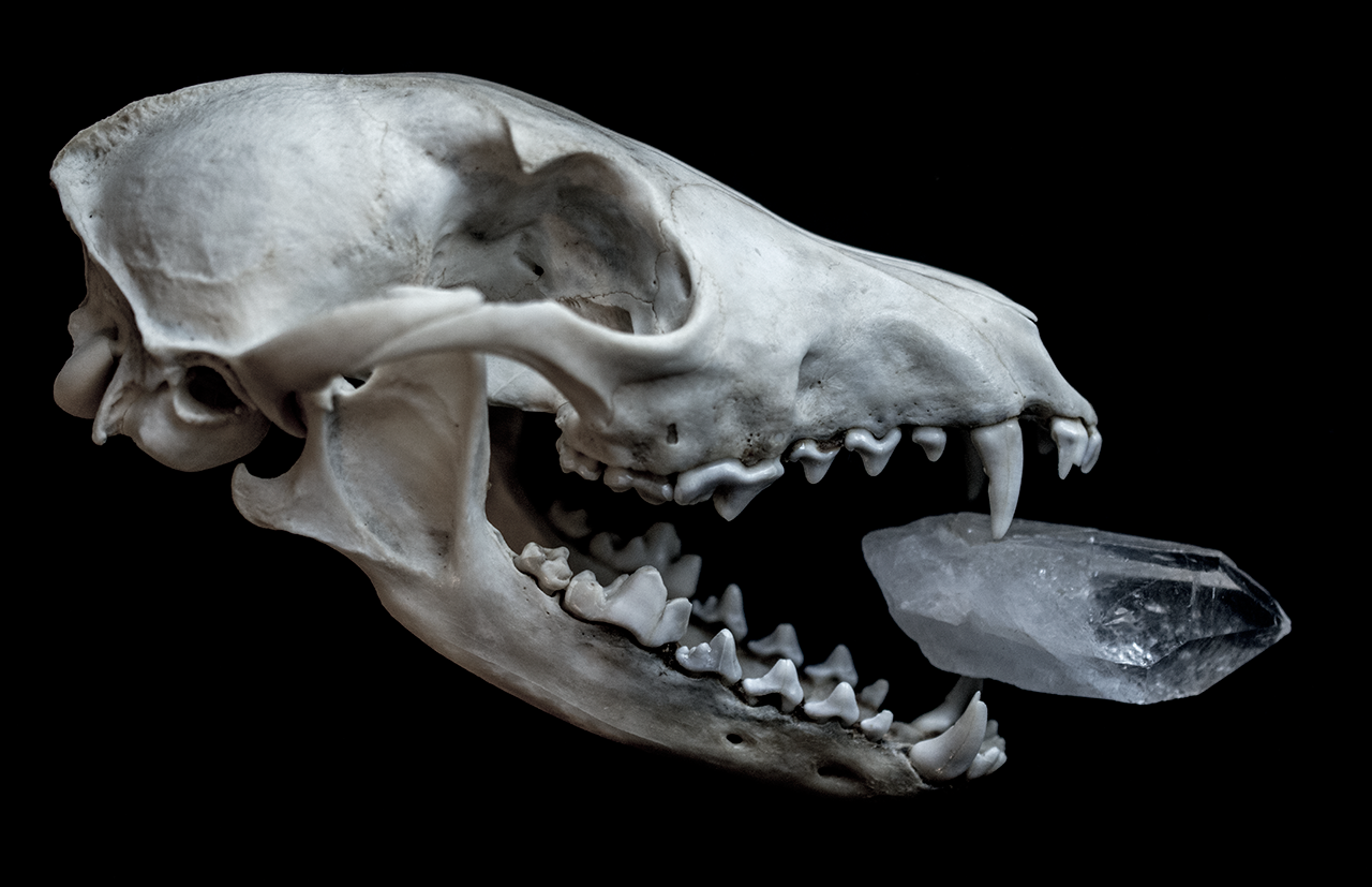 Archillect ID 376129