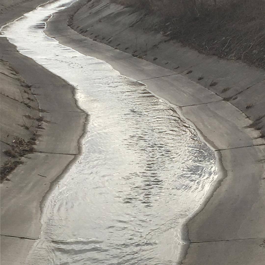 Archillect ID 376135