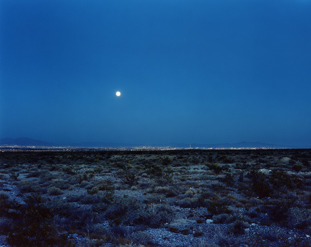 Archillect ID 376157