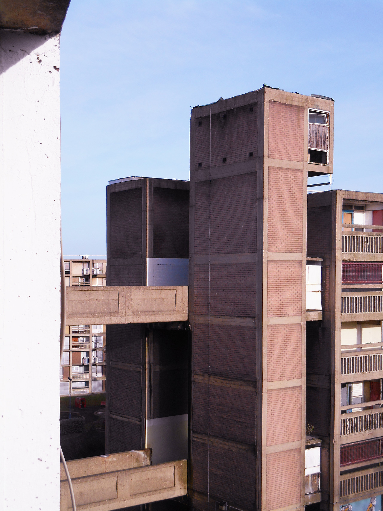 Archillect ID 376161