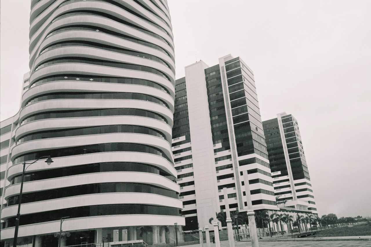 Archillect ID 376205