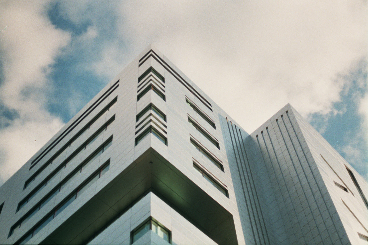 Archillect ID 376209