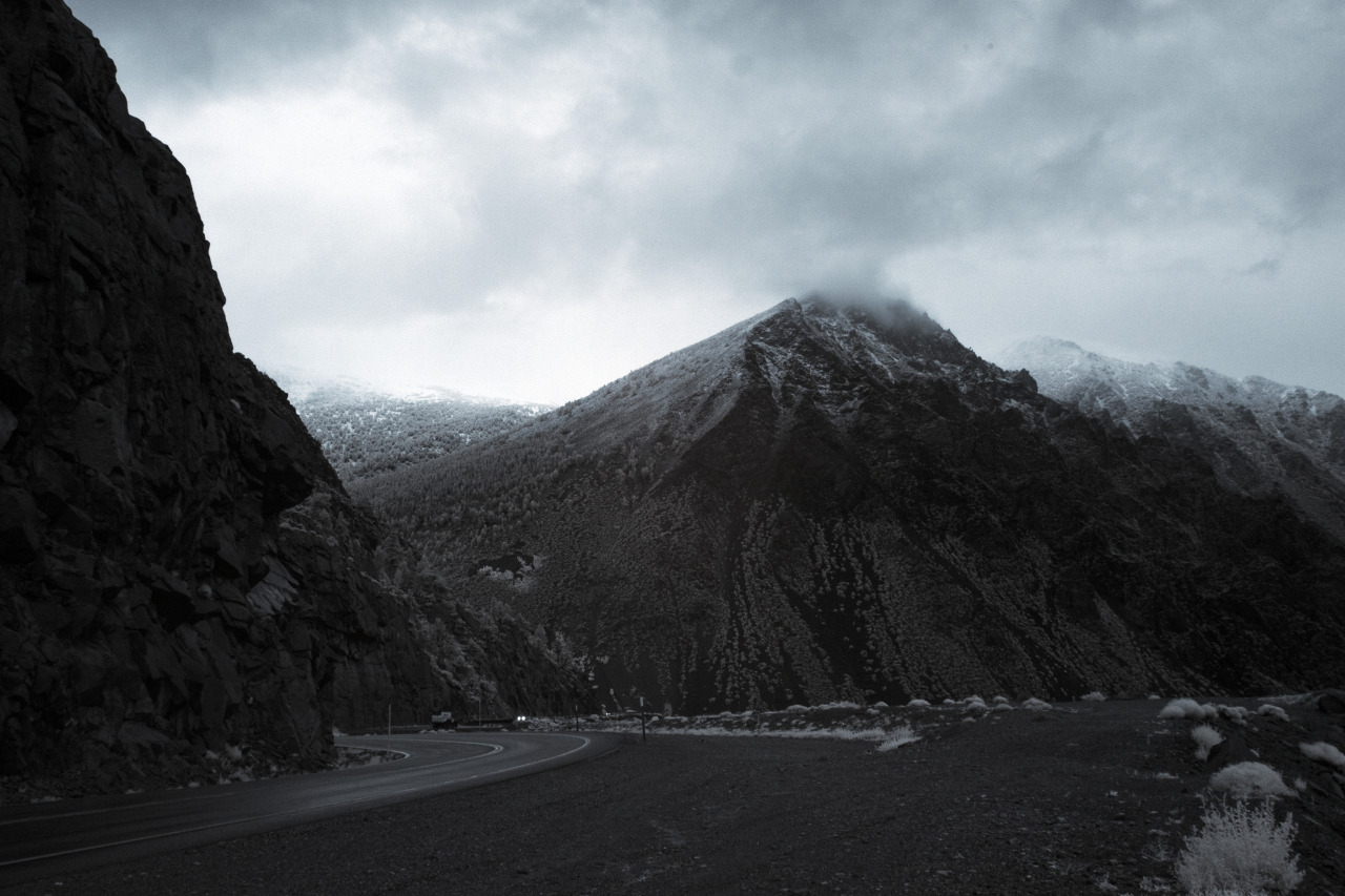 Archillect ID 376240