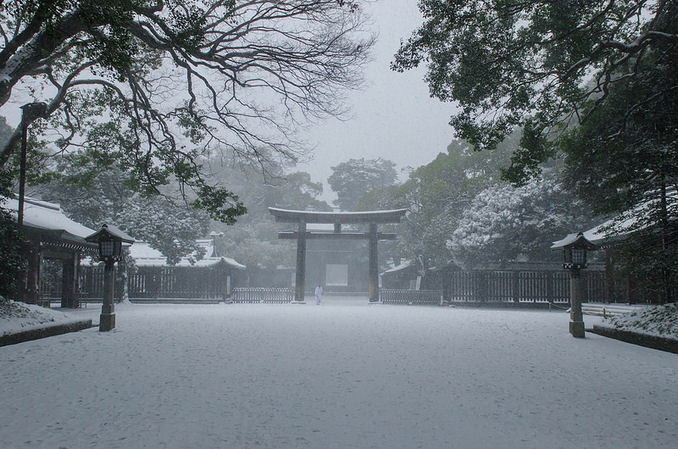 Archillect ID 376279