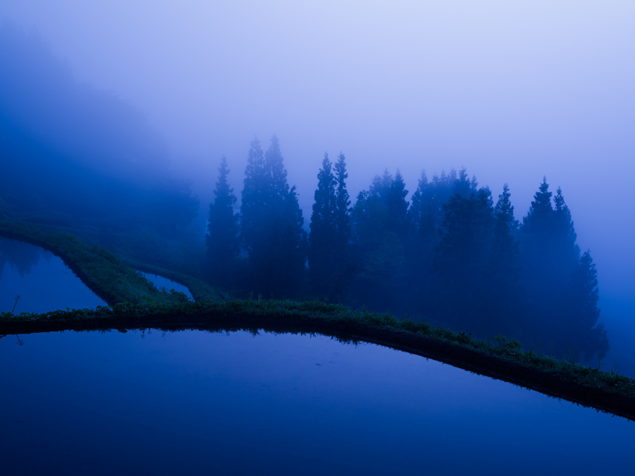 Archillect ID 376300