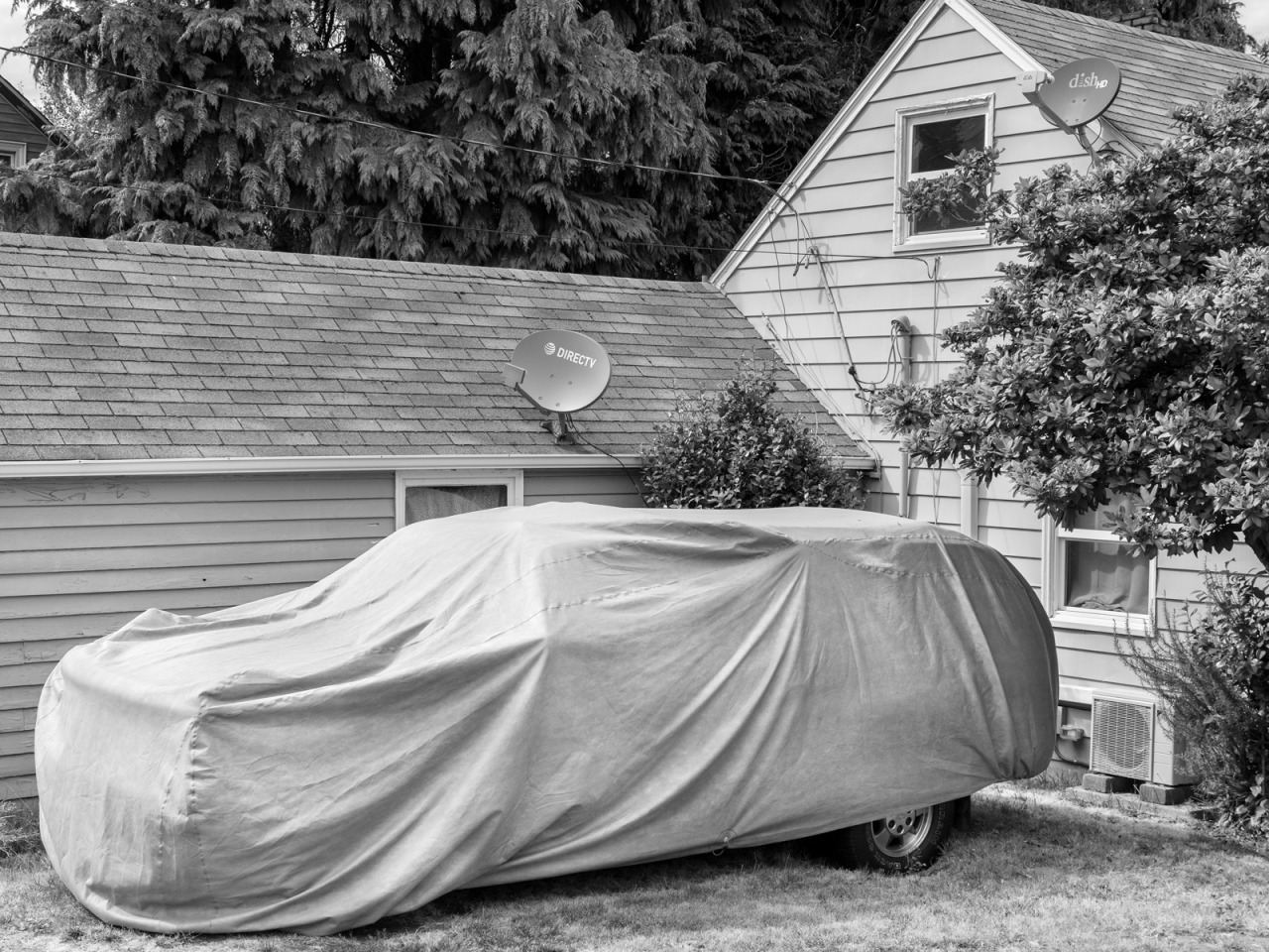 Archillect ID 376303