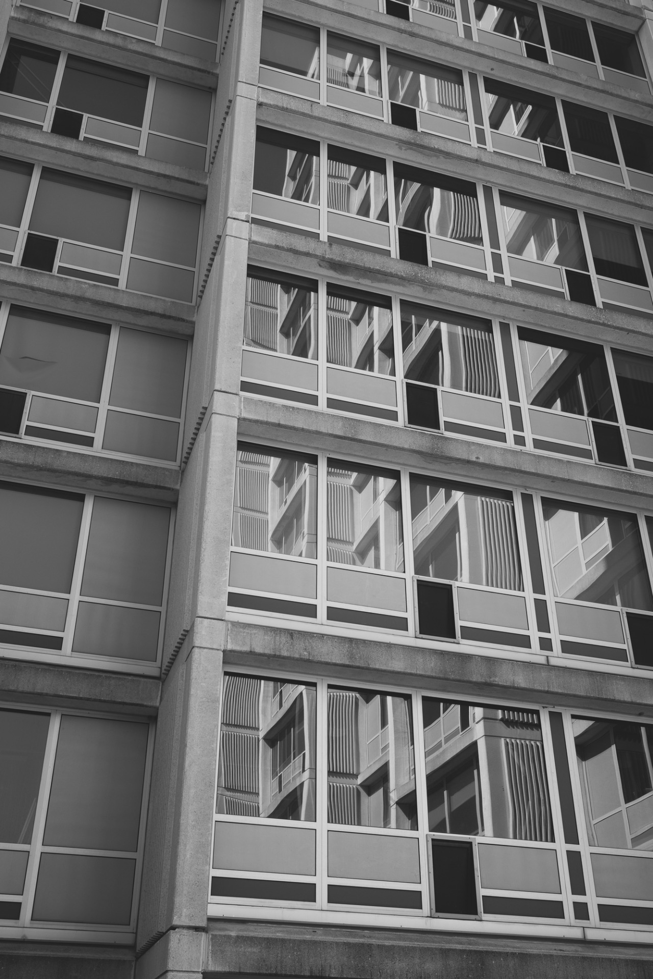 Archillect ID 376329