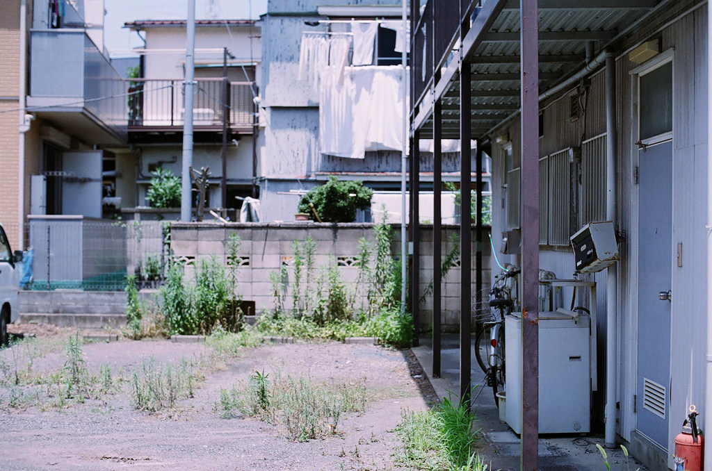 Archillect ID 376350