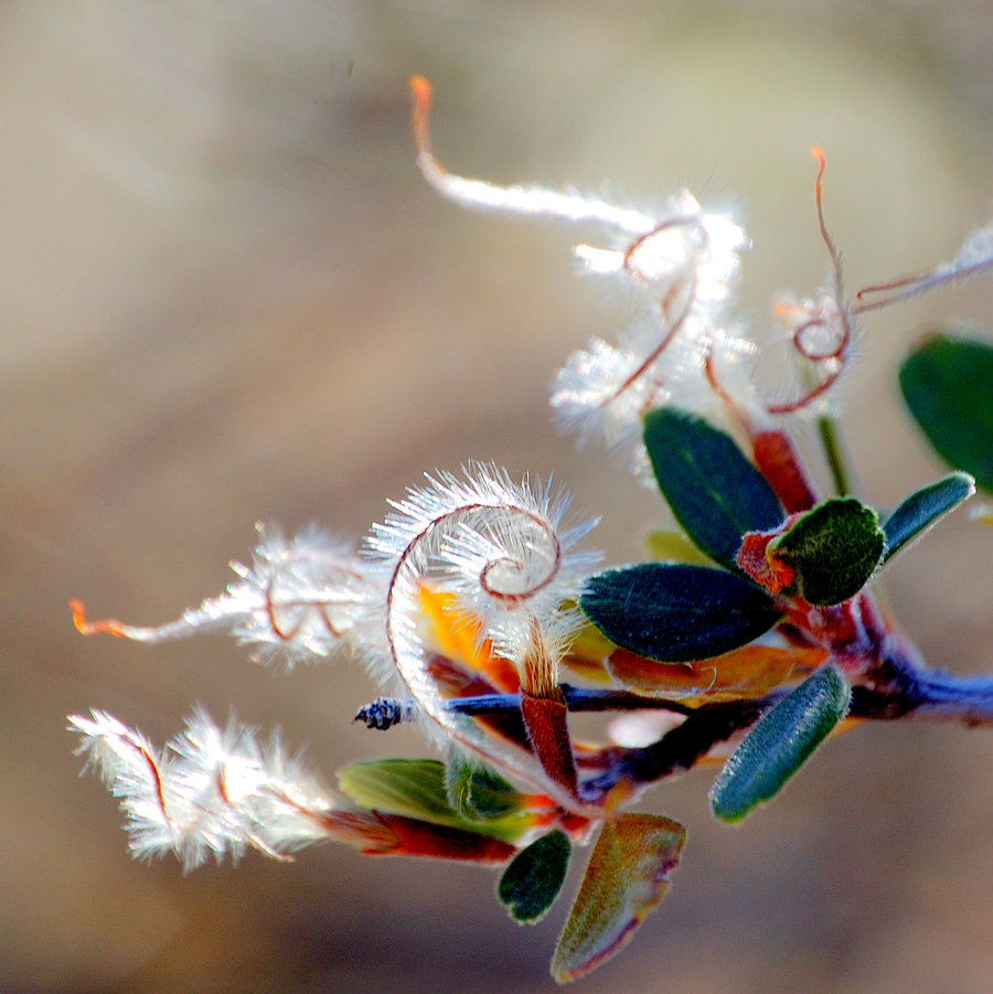 Archillect ID 376383