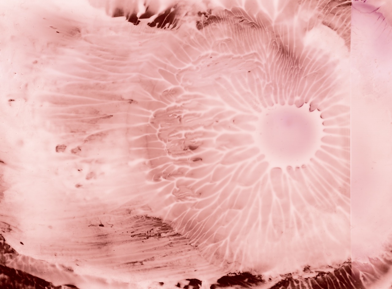 Archillect ID 376397