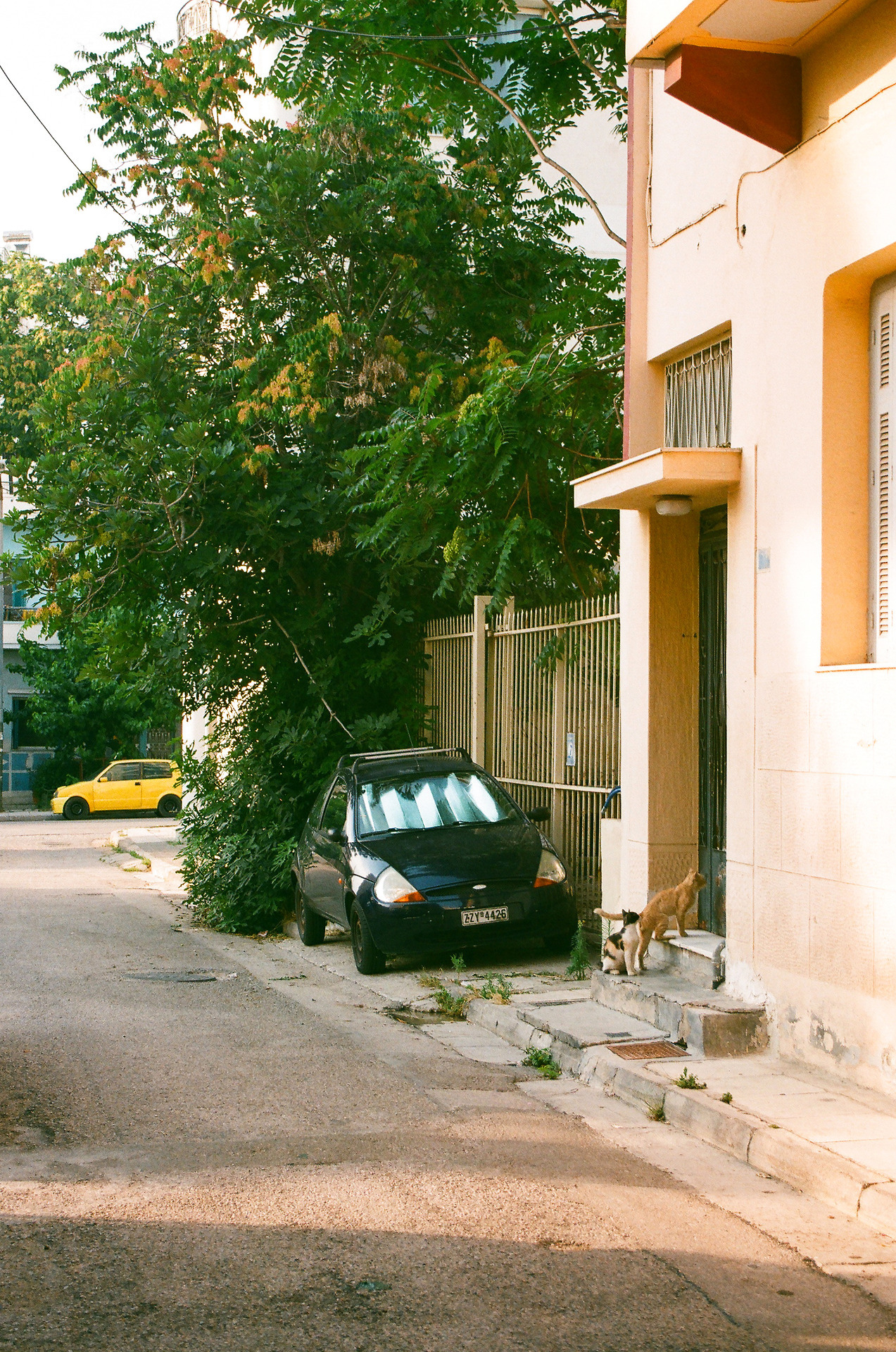 Archillect ID 376411