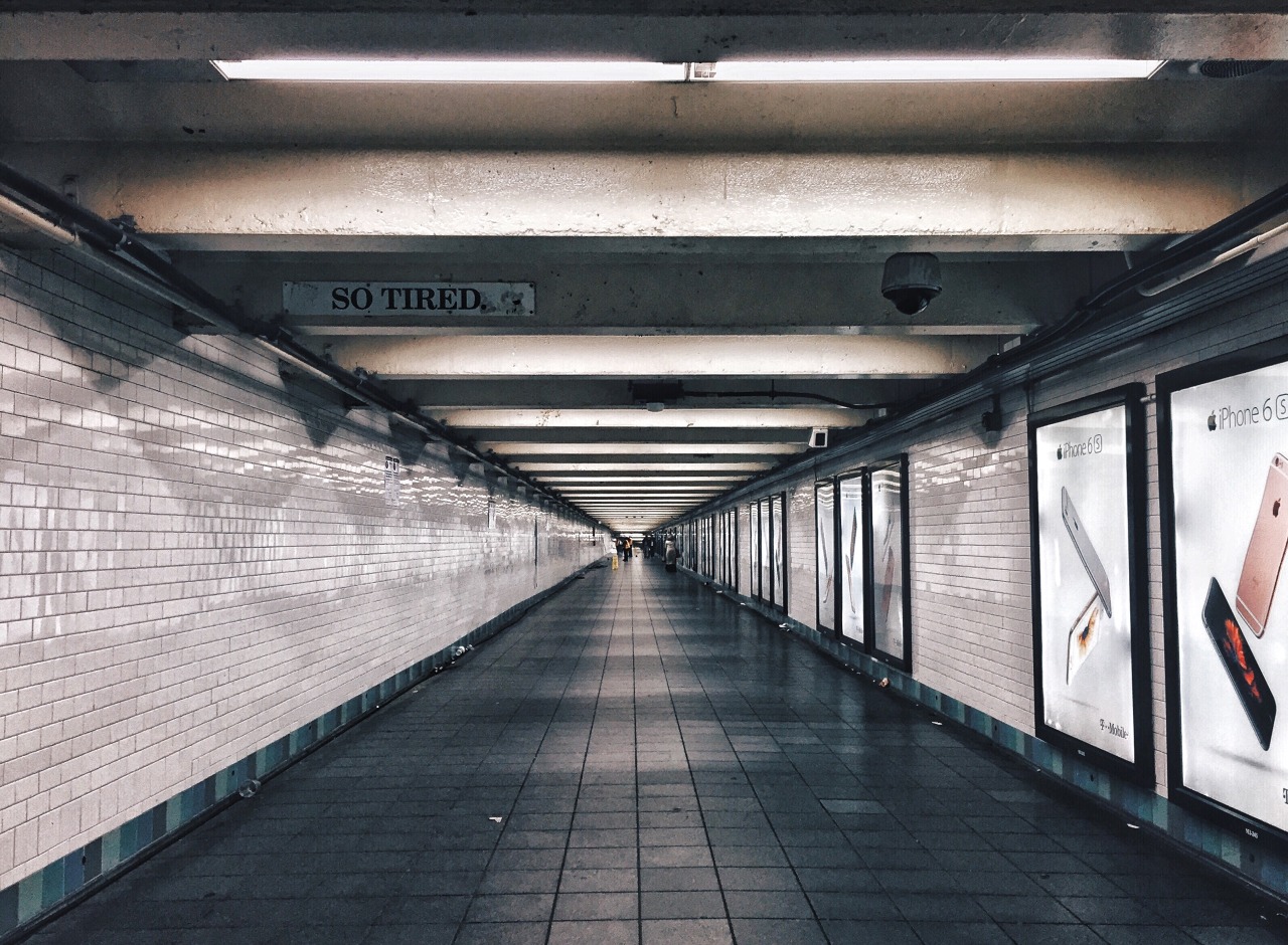 Archillect ID 376447