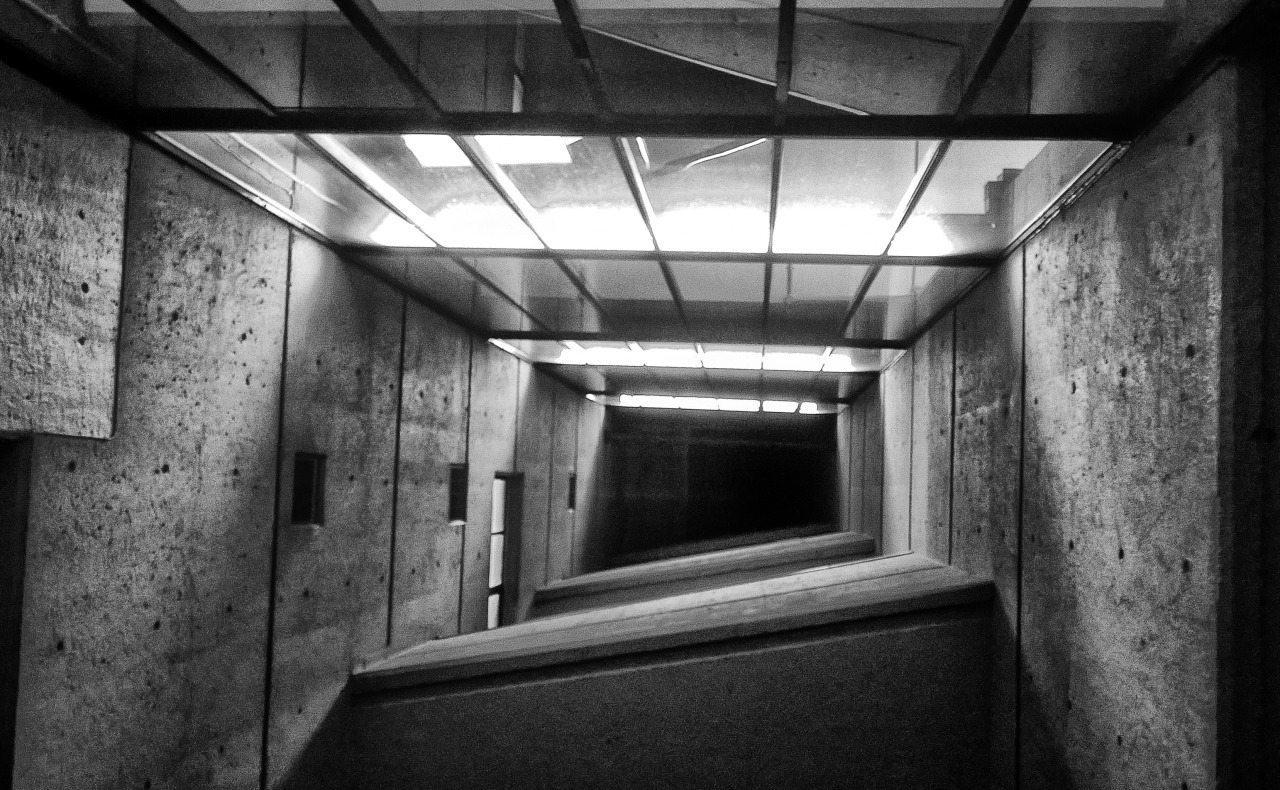 Archillect ID 376457