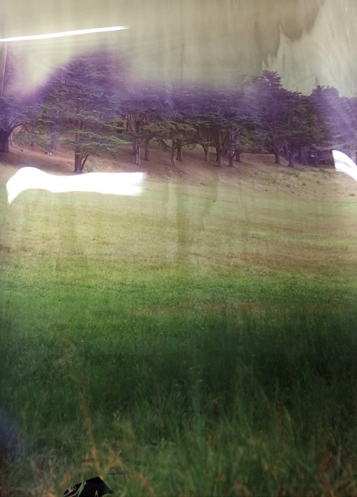 Archillect ID 376470