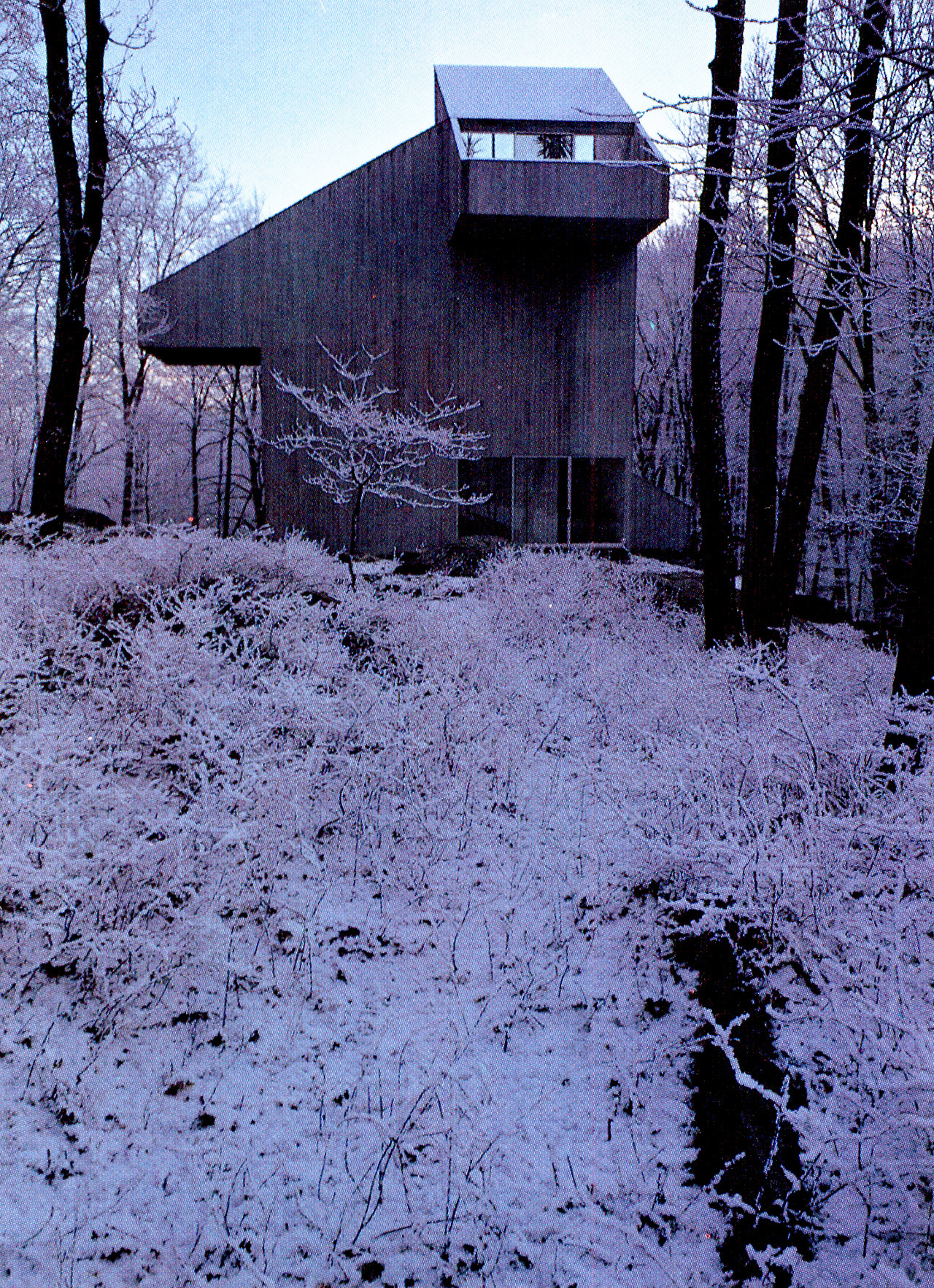 Archillect ID 376519