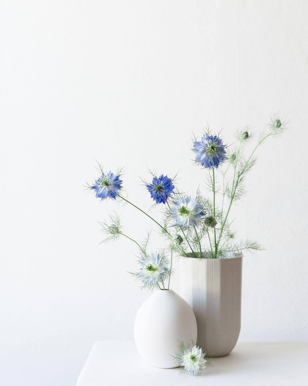 Archillect ID 376522