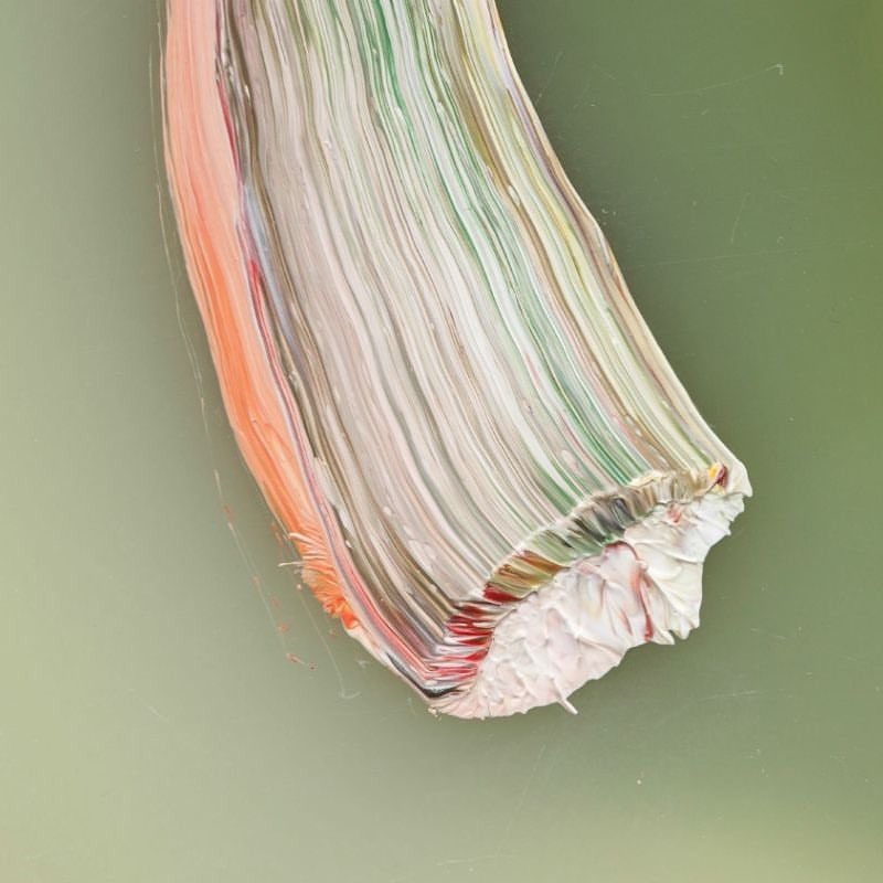 Archillect ID 376538