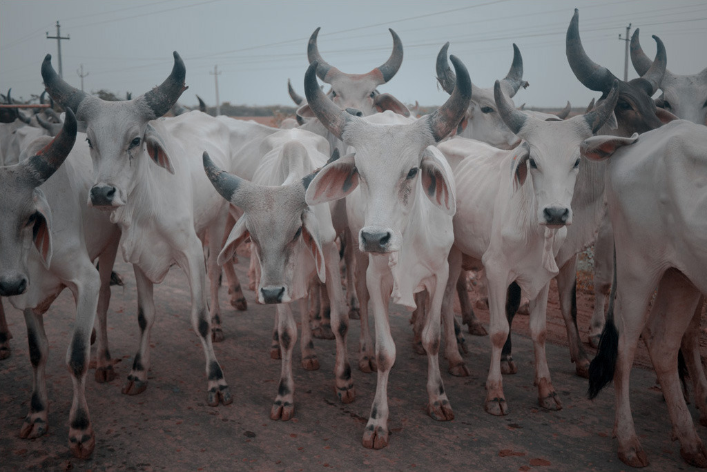 Archillect ID 376545