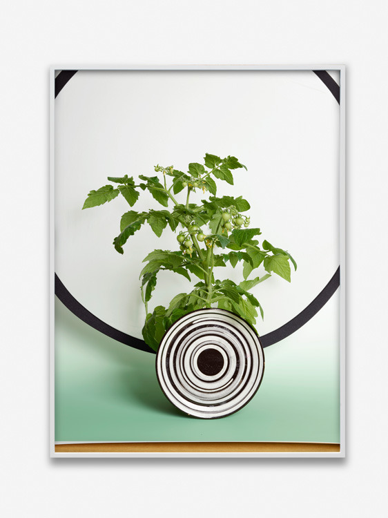 Archillect ID 376559