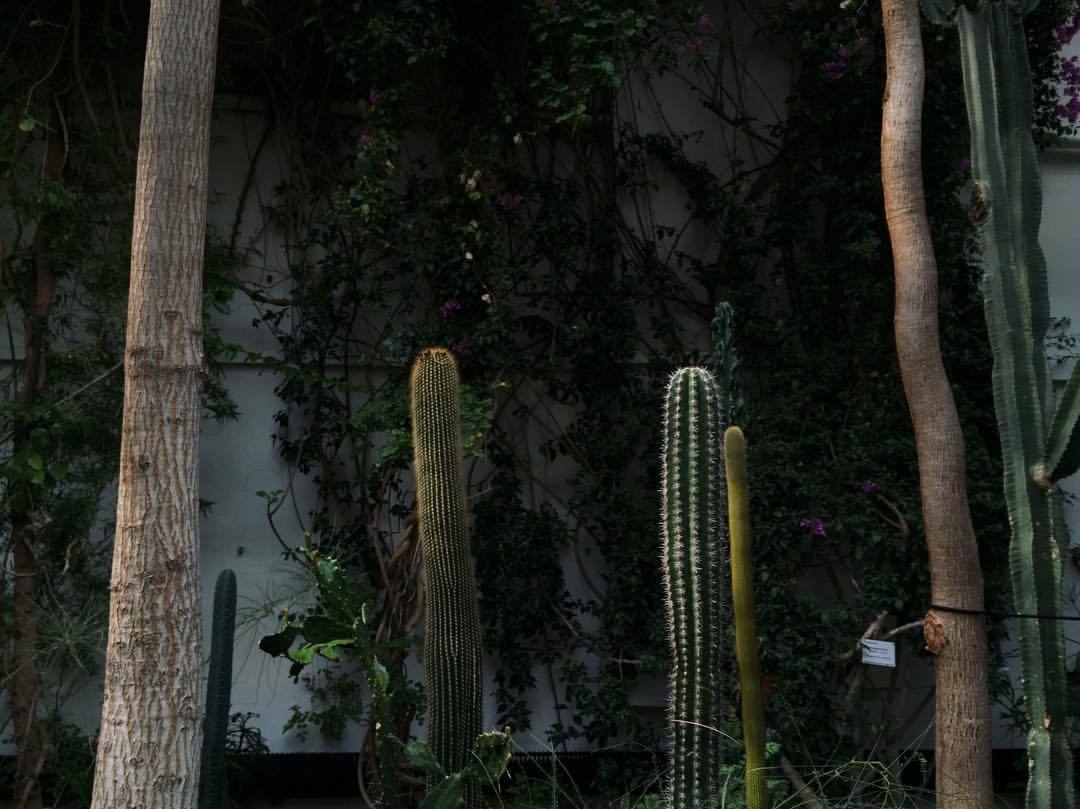 Archillect ID 376594