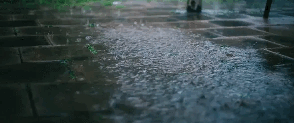 Archillect ID 376604