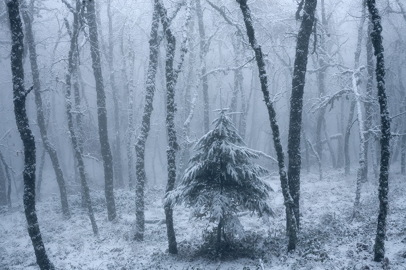 Archillect ID 376611