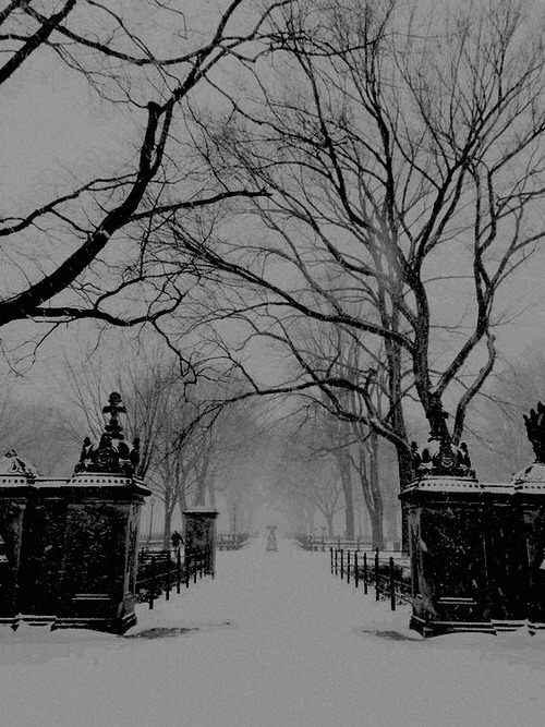 Archillect ID 376660