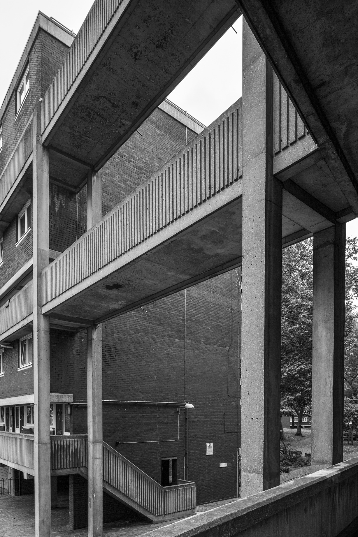 Archillect ID 376675