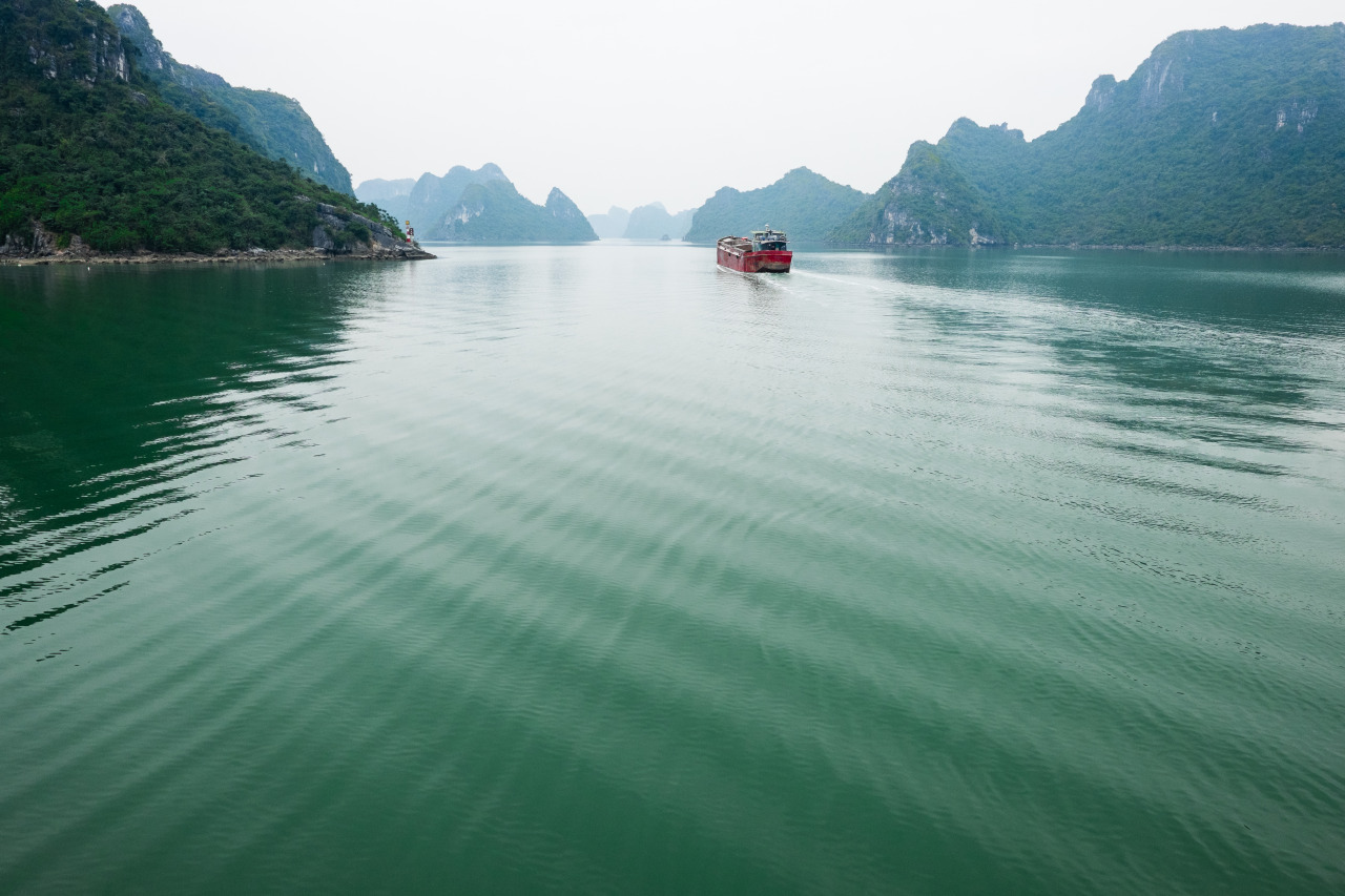 Archillect ID 376691