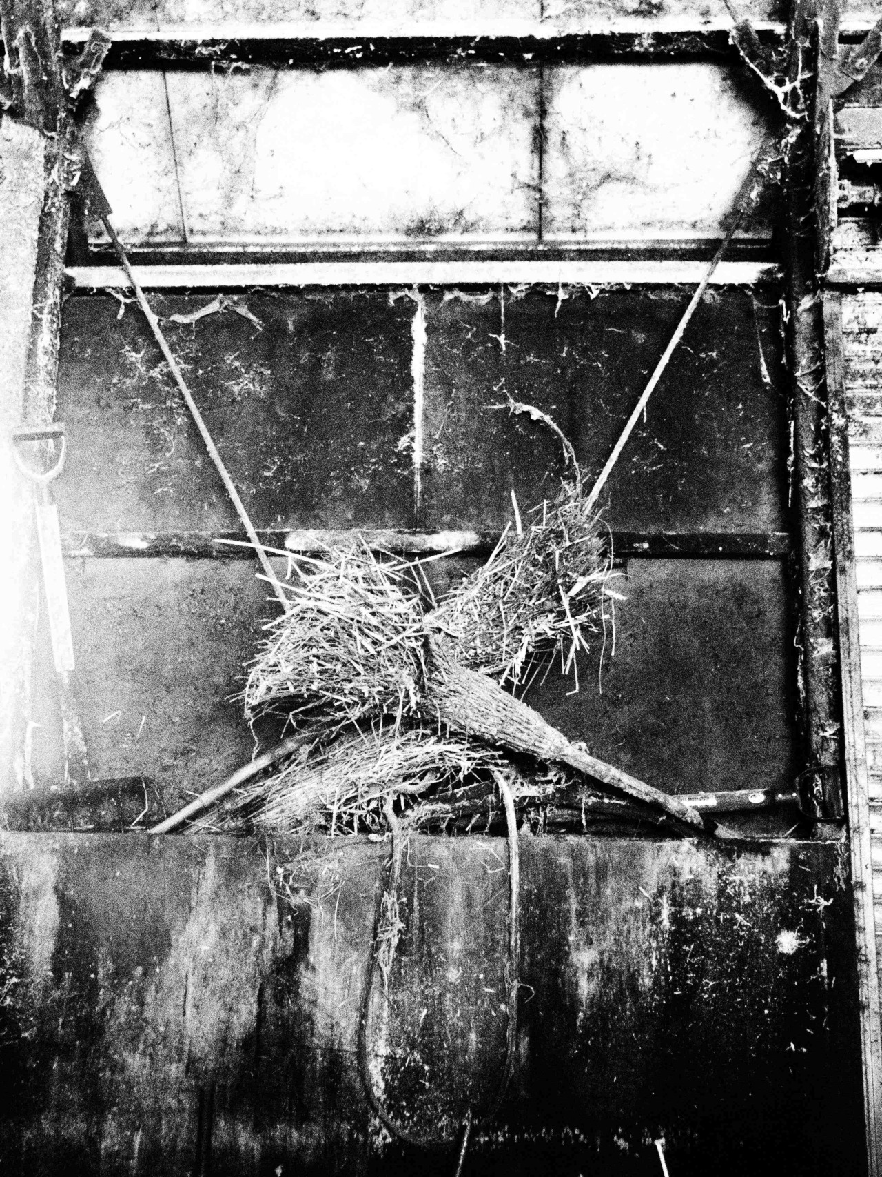 Archillect ID 376699