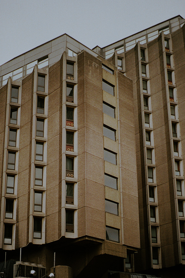 Archillect ID 376706