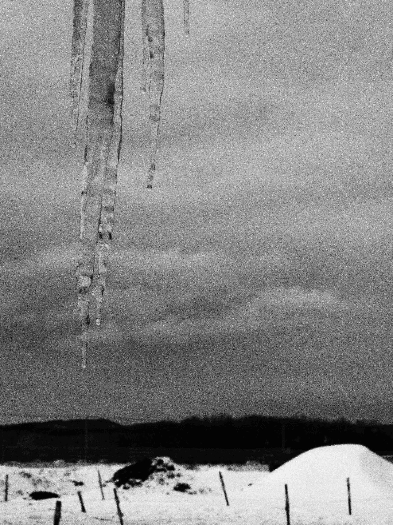 Archillect ID 376710