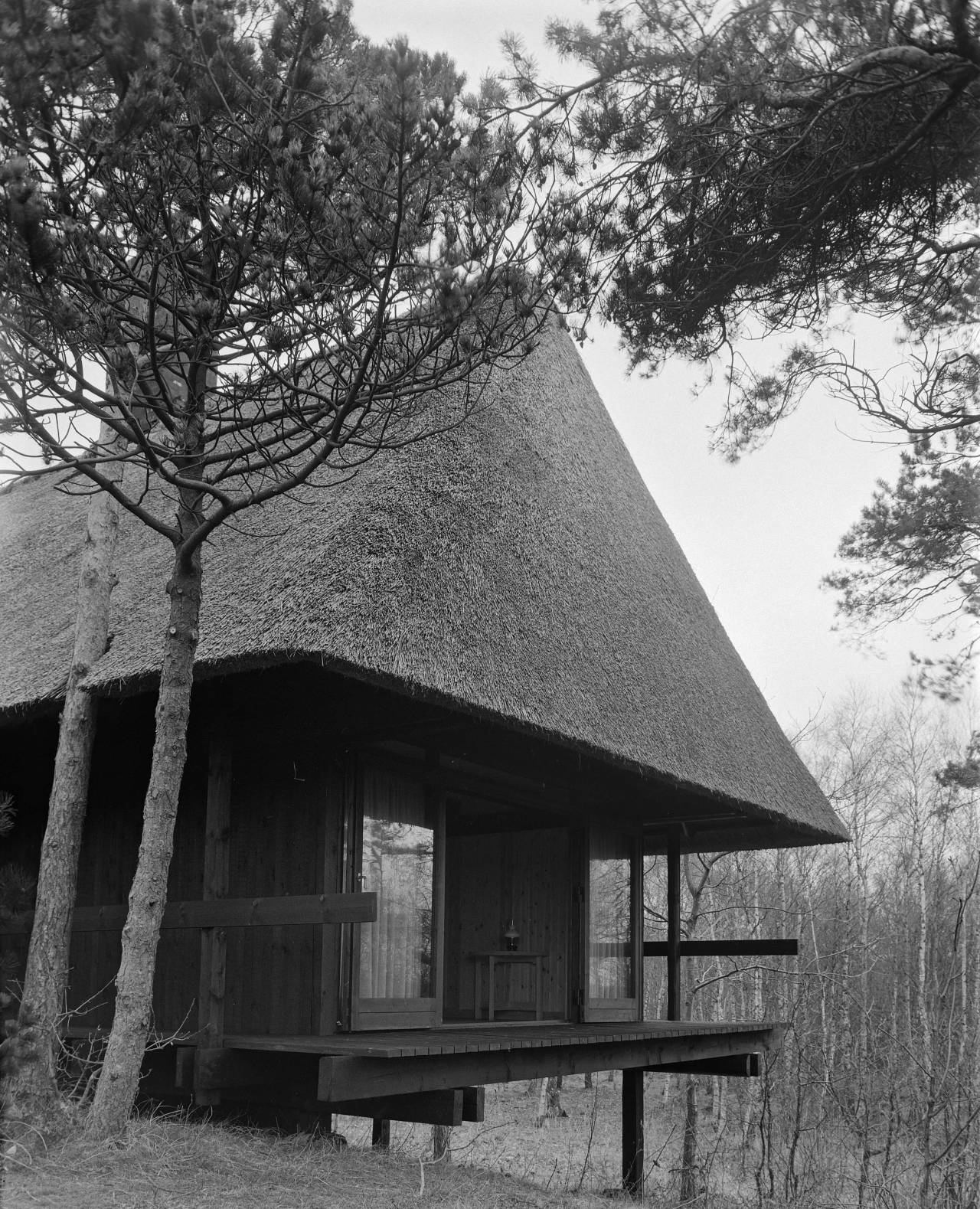 Archillect ID 376726