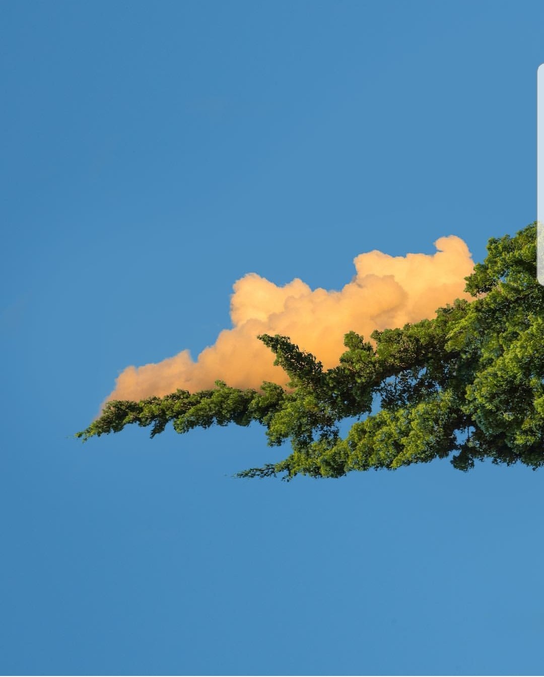 Archillect ID 376733