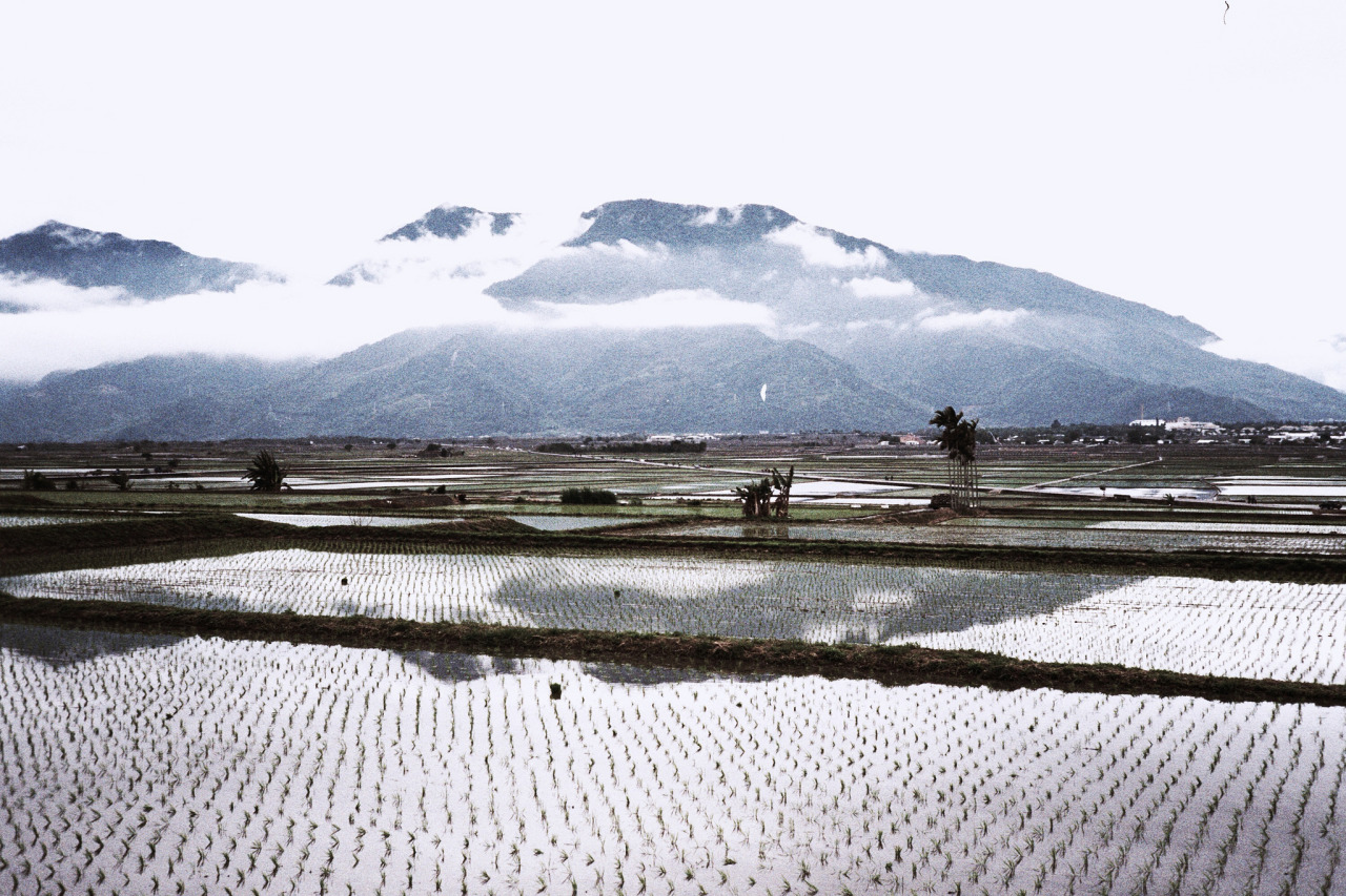 Archillect ID 376738