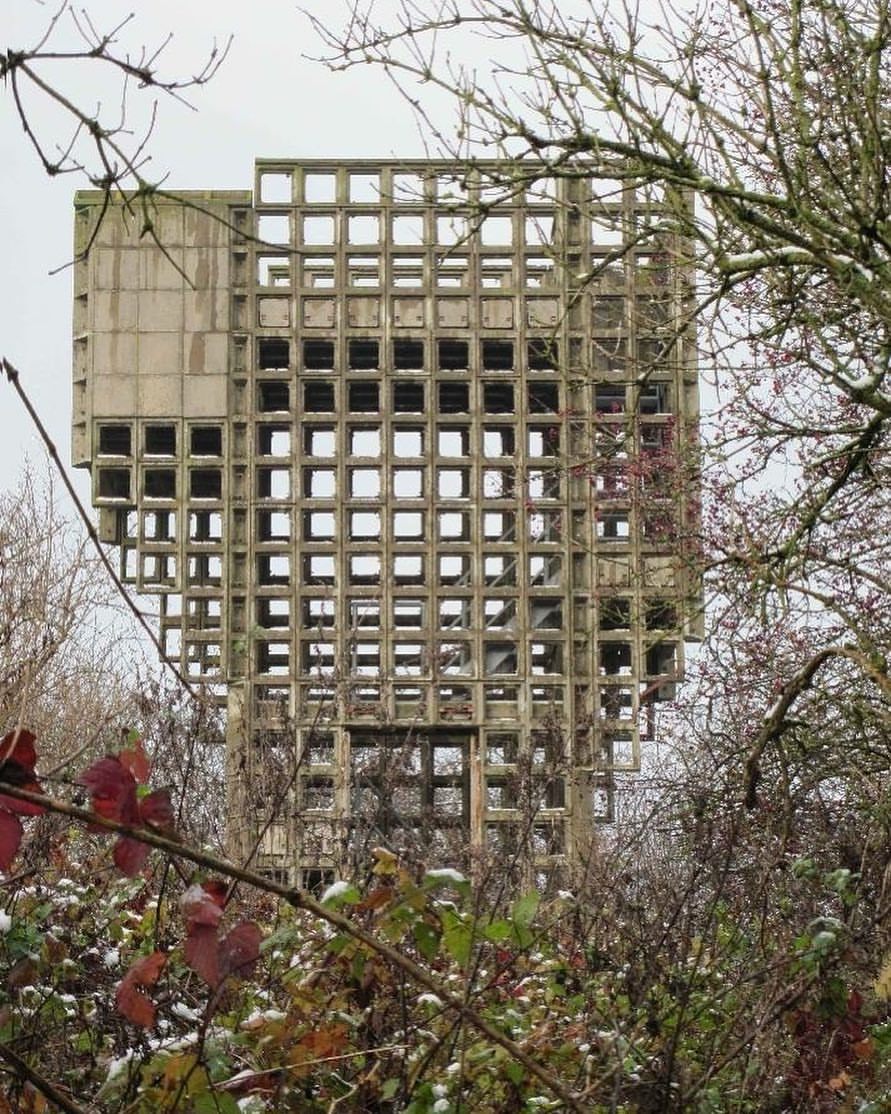 Archillect ID 376755