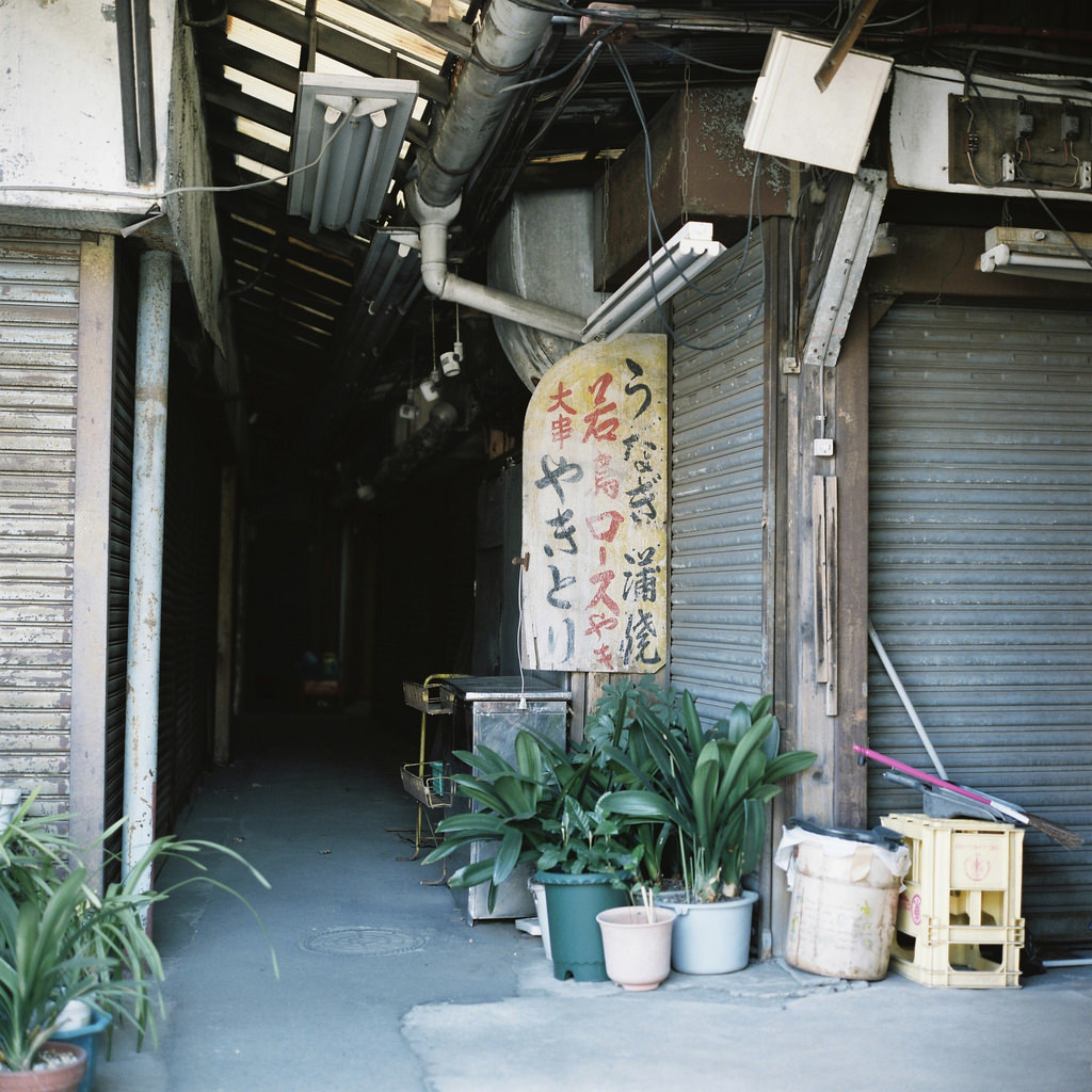 Archillect ID 376763