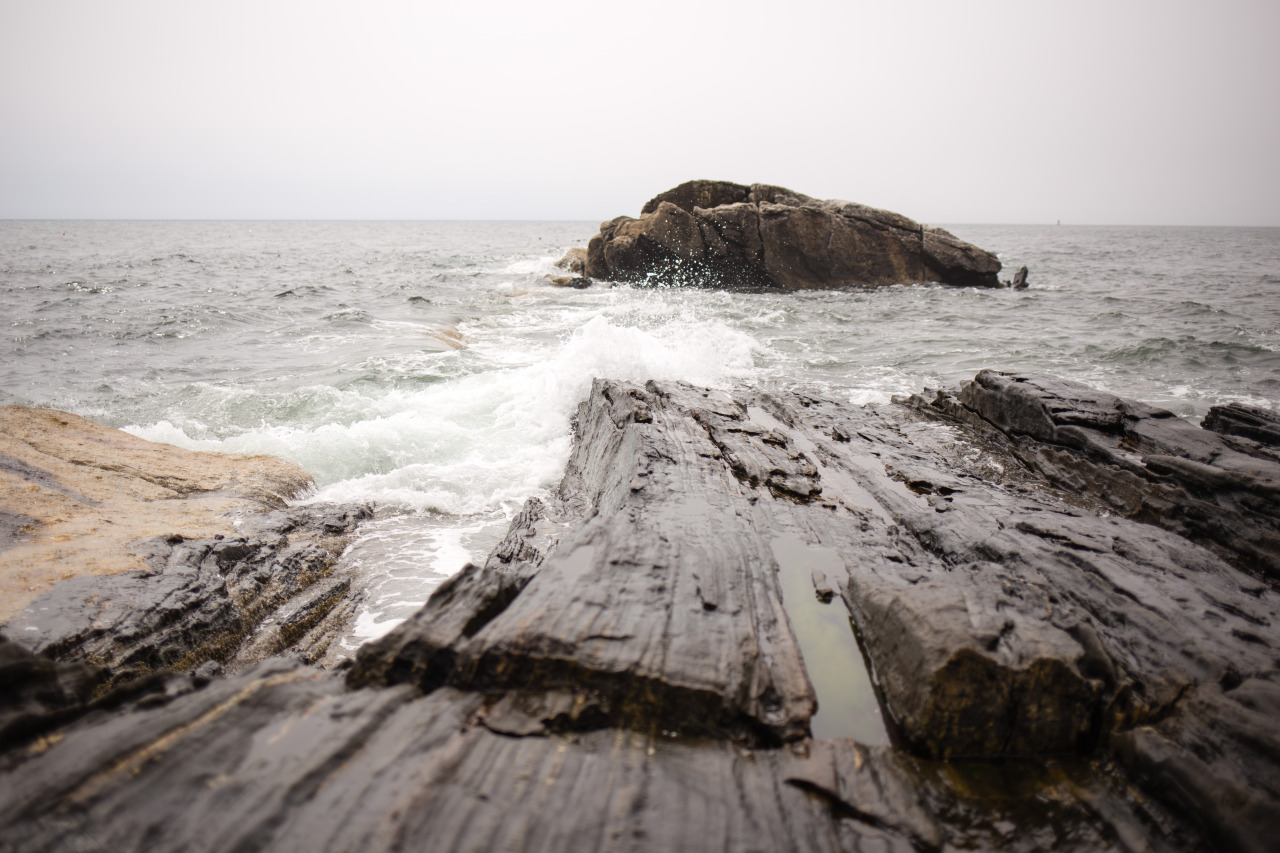 Archillect ID 376765