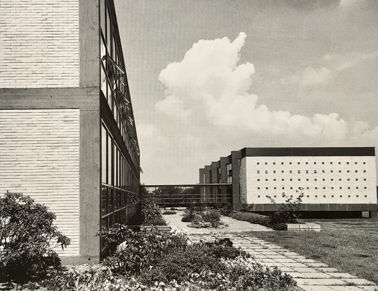 Archillect ID 376776