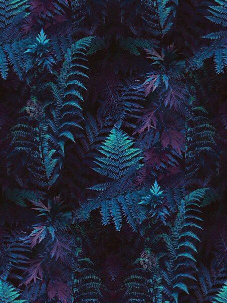 Archillect ID 376781