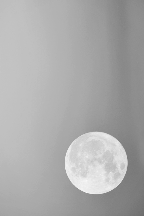 Archillect ID 376837