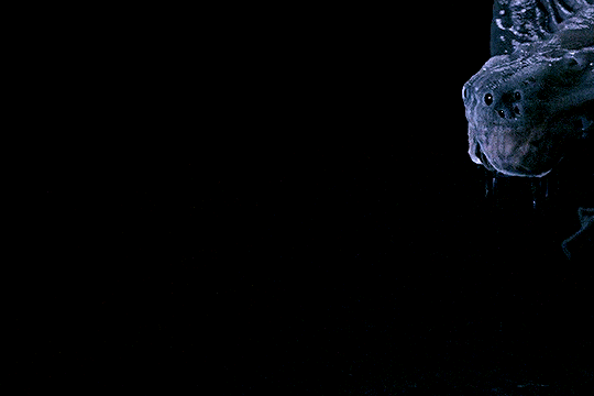 Archillect ID 376894