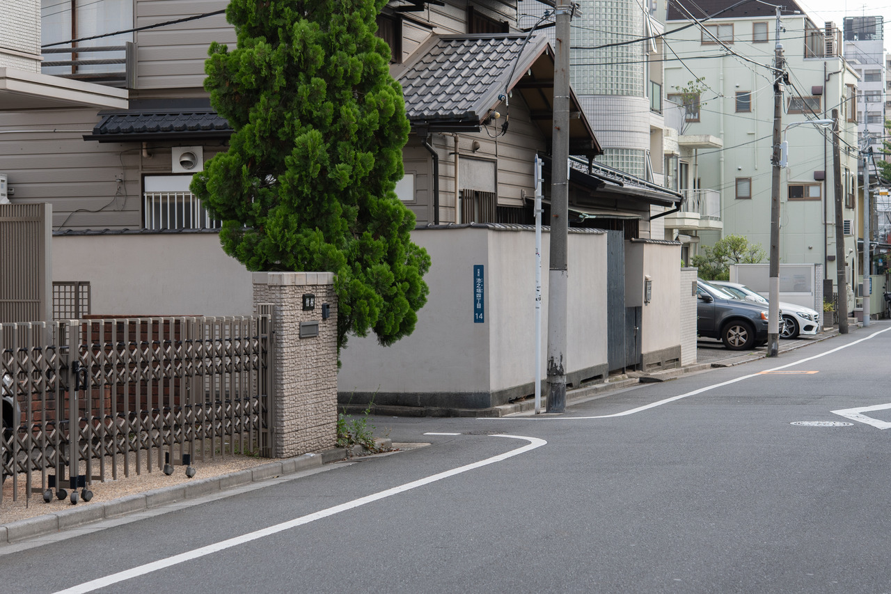 Archillect ID 376903