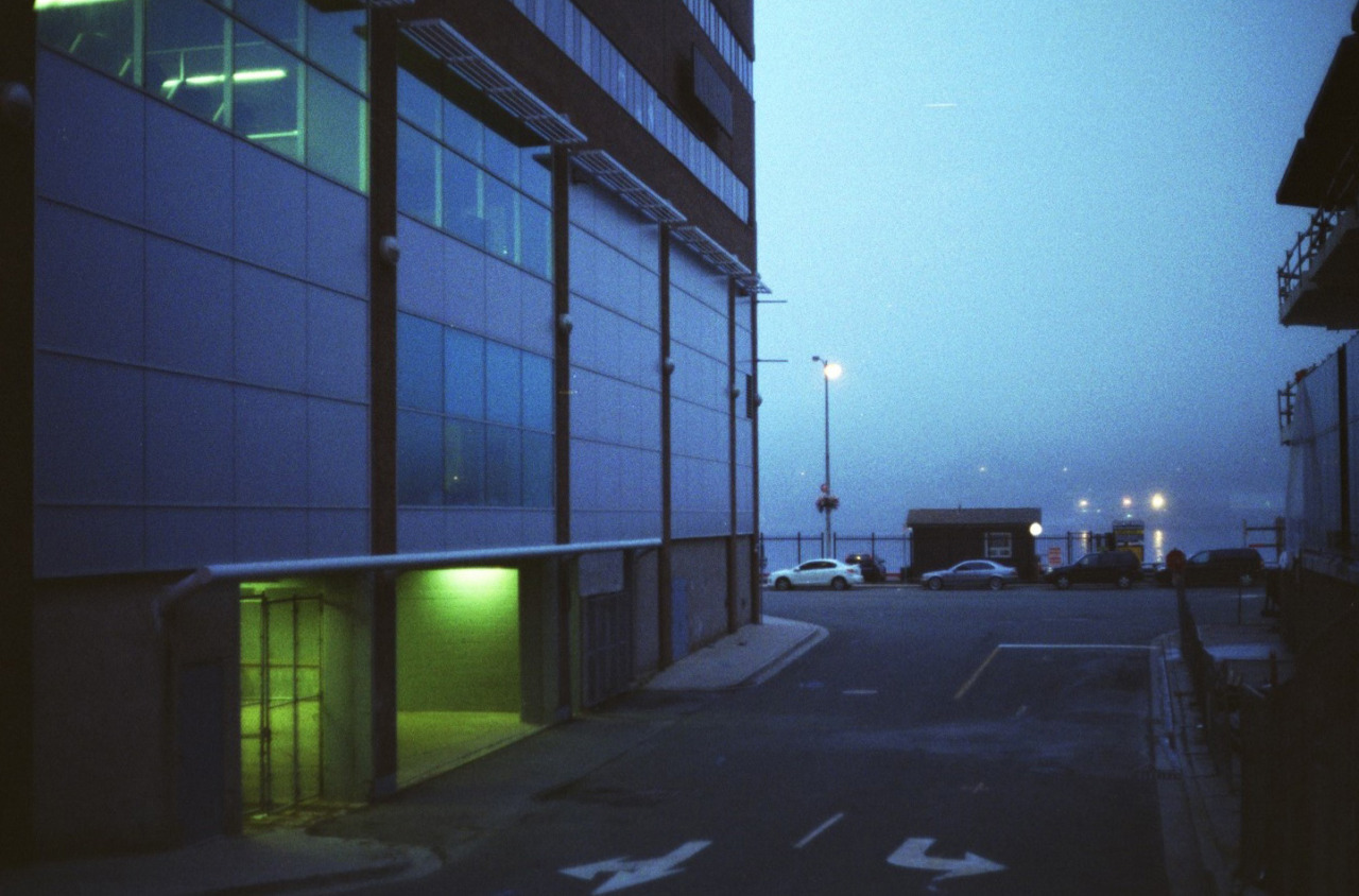 Archillect ID 376911