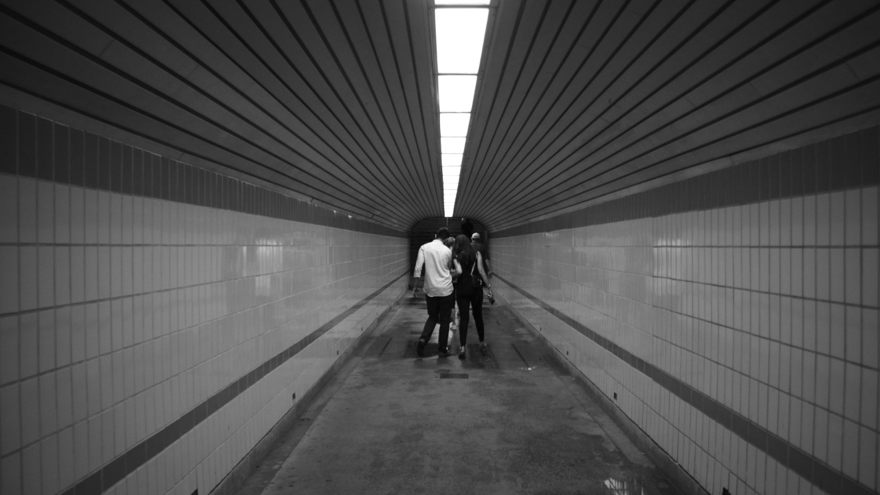 Archillect ID 376952