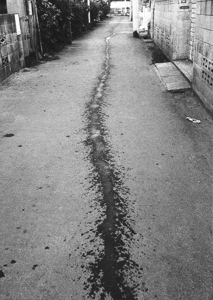 Archillect ID 376988