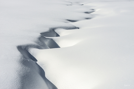 Archillect ID 376994