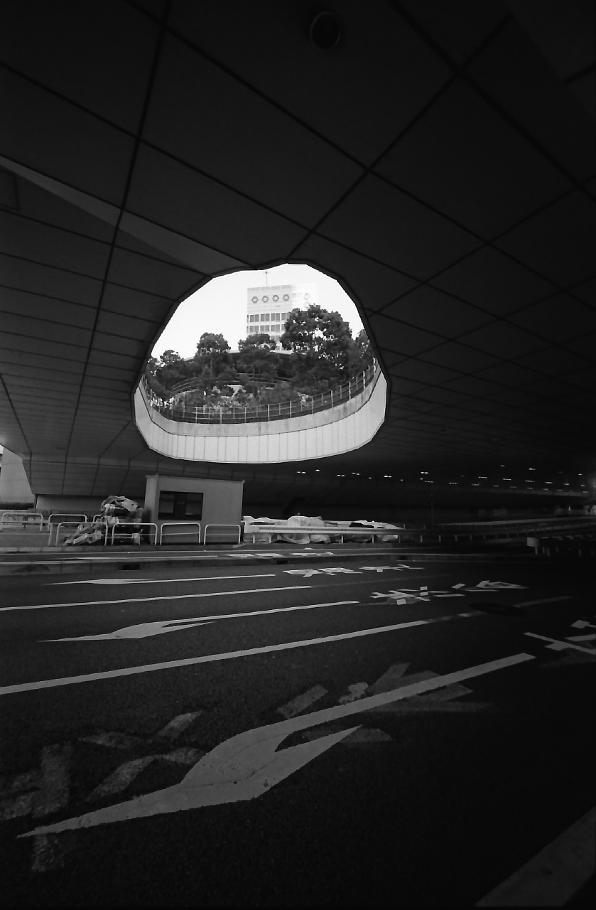 Archillect ID 377028