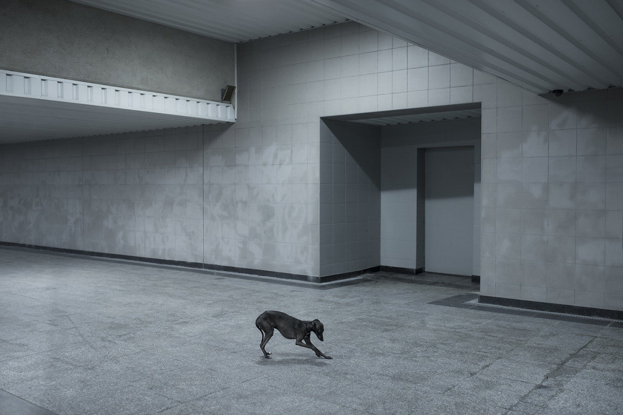 Archillect ID 377042